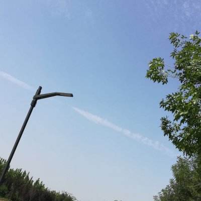 北京温榆河公园百亩小站稻完成插秧